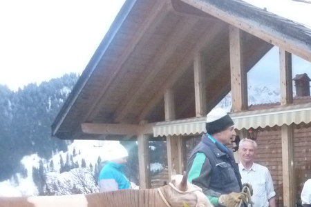 Pflegefamilie Hohgantblick