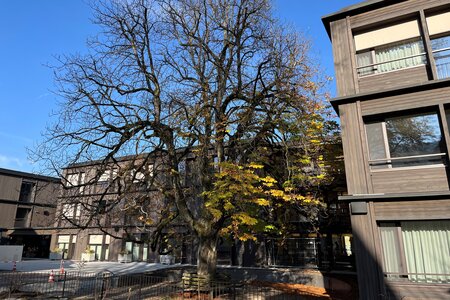 Wohn- und Pflegeheim Grünau AG